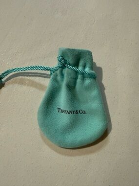 Tiffany & Co. Robin's Egg Blue Velvet Jewelry Pouch